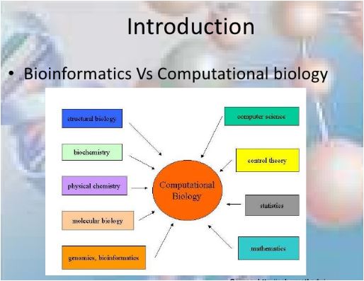 difference between computational biology and bioinformatics