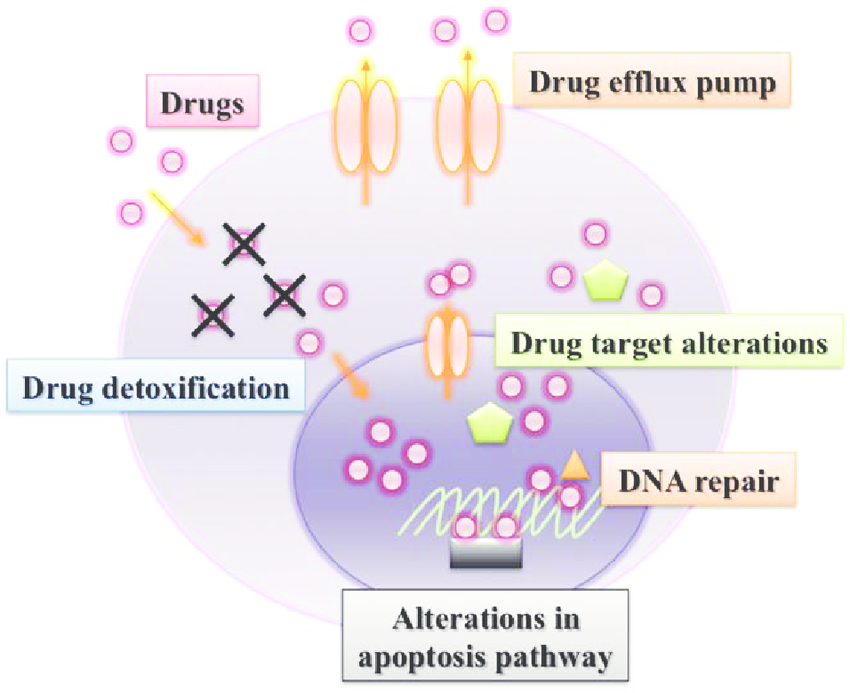 Bioinformatics drug resistance